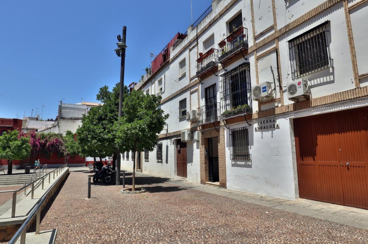 Ferienwohnung New Apartamento Tierra Andaluza Junto Mezquita Córdoba Exterior foto